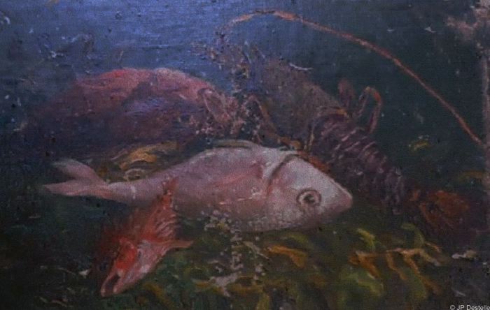 Poissons-Langouste