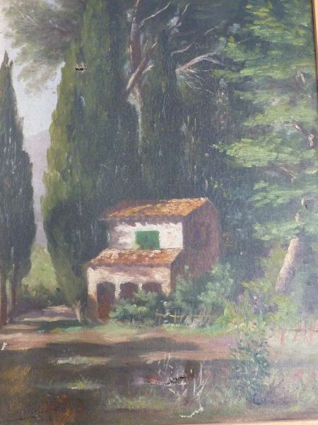 Cyprès et cabane