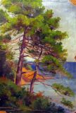 Sainte Maxime - Les Sardinaux 