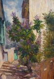 Villefranche sur Mer Rue de la Resquillarde 1916 