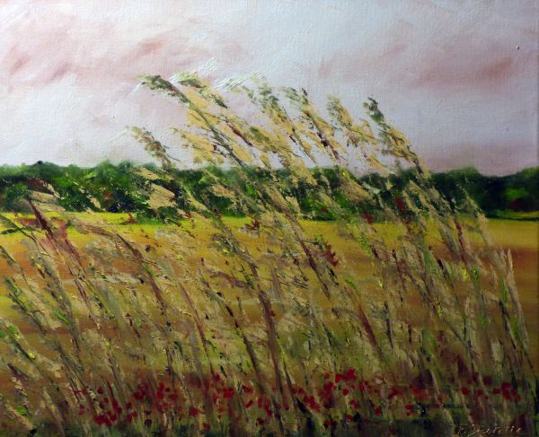 Herbes des champs