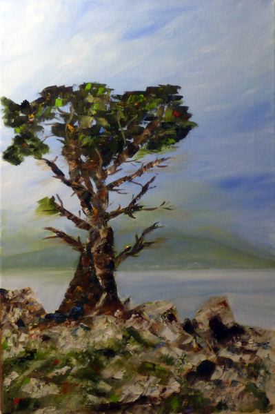 Arbre en plein vent