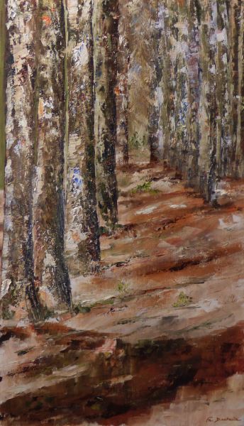 Sous-bois