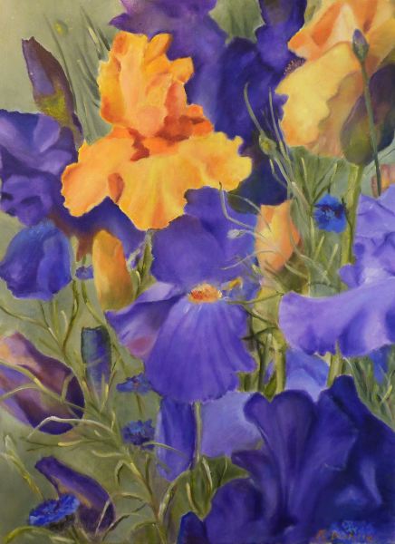Les Iris