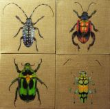 Insectes