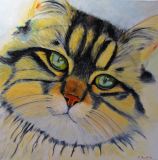 chat aux yeux verts
