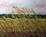 Herbes des champs