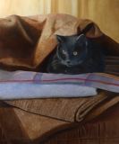 Le chartreux