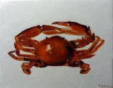 Petit crabe