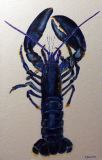 Petit homard