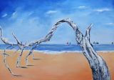 Arbre mort et Voiliers